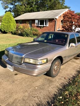 Photo by Omar Ibrahim 6